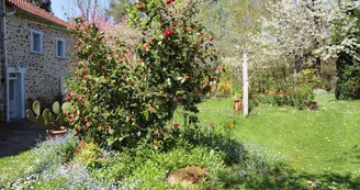 Gite "Coubras" à Panazol en Haute-Vienne (Limousin)_18