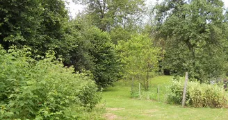 Gite " Le Petit Grammont" à Peyrat Le Chateau en Haute-Vienne (Limousin)_21