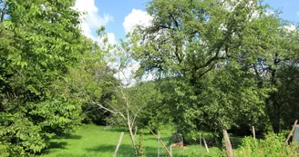 Gite " Le Petit Grammont" à Peyrat Le Chateau en Haute-Vienne (Limousin)_16