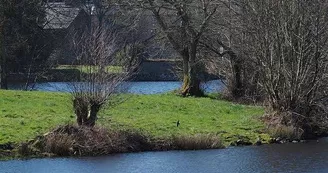 Gite "La Forge" à Peyrat Le Château en Haute-Vienne (Limousin en Nouvelle Aquitaine). Etang de Peyrat le Château._15