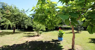 Gite "La Chaubaudie" à Rochechouart en Haute-Vienne (Nouvelle-Aquitaine)_5