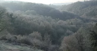 Gîtes de France "La Chaudière" à St Auvent, Haute Vienne, sous le givre d'hiver_39