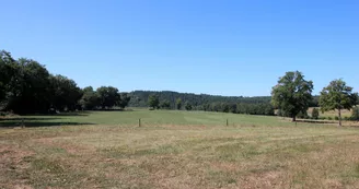 Gite " Lepinasse" à Saint Bazile en Haute-Vienne (Nouvelle Aquitaine), campagne environnante_23