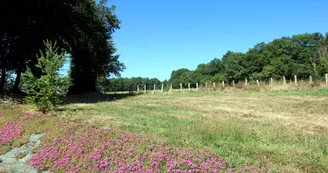 Gite " Lepinasse" à Saint Bazile en Haute-Vienne (Nouvelle Aquitaine)_2