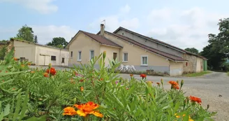 Gite " Lepinasse" à Saint Bazile en Haute-Vienne (Nouvelle Aquitaine_1