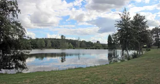 Gite "Le Chambéry" à Saint Brice Sur Vienne en Haute-Vienne _17