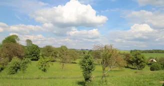 La maison de Marie à Saint Germain les Belles en Haute-Vienne (Nouvelle Aquitaine)- vue_25