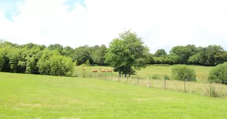 Gîte de Feuillade à Saint Laurent Sur Gorre en Haute-Vienne_44