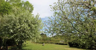 Gite " Lascaux" à Saint Mathieu en Haute-Vienne (Limousin)- vue du jardin_25