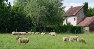 Gîte "la noisetière" à papesoleil sur la commune de Saint Yrieix la Perche en Haute-Vienne (limousin)_18