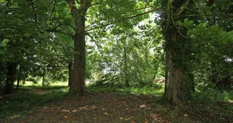 La Tour Baronne du Château de Ligoure au Vigen en Haute-Vienne (Limousin)_22