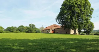 Gîte Le Tilleul Le Chalard sur la commune de Chalus en Haute-Vienne - le majestueux tilleul _22