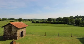 Gîte Le Tilleul Le Chalard sur la commune de Chalus en Haute-Vienne - vue des prairies et collines devant le gîte_18