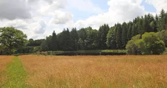 Gîte "la porcherie" à Ladignac le Long en Haute-Vienne (Nouvelle Aquitaine)_23