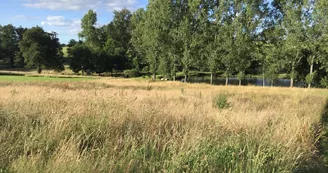 Le gîte "Campagne Limousine" à Rochechouart en Haute-Vienne (Nouvelle Aquitaine)_63