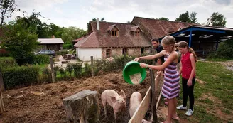 Camping à la ferme du Domaine de Royères_2