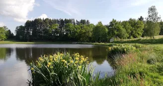 camping insolite étang La Croisille sur Briance