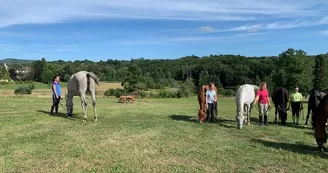 Aire de bivouac de Saint-Méard_1