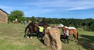 Aire de bivouac de Saint-Méard_2