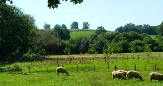 Camping-à-la-ferme-La-Noyeraie