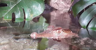 Aquarium du Limousin_3