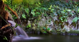 Aquarium du Limousin_5