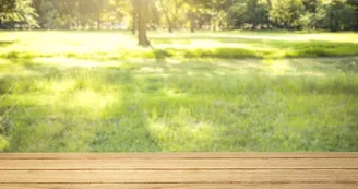 Nature product backdrop, green backyard