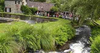 pisciculture du moulin authier coussac bonneval_10