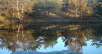 Etang de pêche 'Les Pierres du Mas'  La Porcherie_1