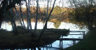 Etang de pêche 'Les Pierres du Mas'  La Porcherie_3