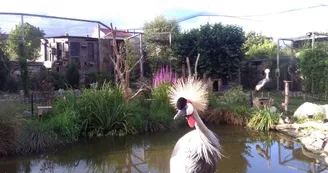 Jardin Zoologique Bellachon_2