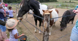 Ferme pédagogique Terr'Happy - Rochechouart_1