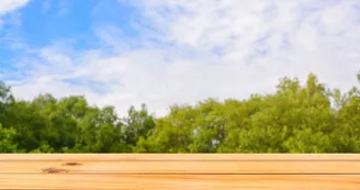 Wooden board empty table in front of blurred background. Perspective brown wood table over blur trees in forest background - can be used mock up for display or montage your products. spring season.