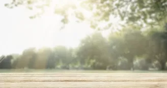 Nature product backdrop, green trees and sunlight