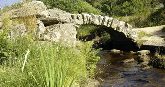 Pont de Senoueix_1