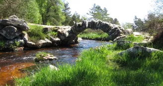 Pont de Senoueix_1