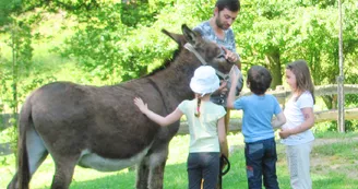 Ferme pédagogique Les Anes de Vassivière_5