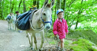 Ferme pédagogique Les Anes de Vassivière_1