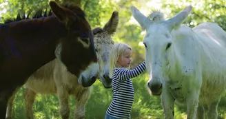 Ferme pédagogique Les Anes de Vassivière_2