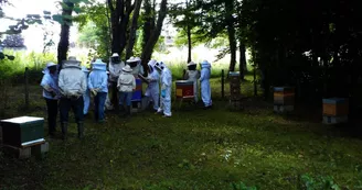 Le jardin aux abeilles à Magnac-Bourg