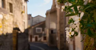 Châteauponsac
©Sabine Massé_2