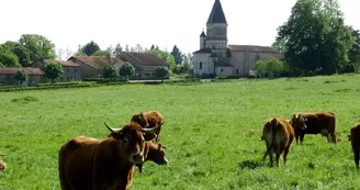 Eglise de Maisonnais sur Tardoire_2