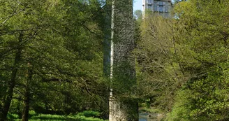 Ponts et Viaducs à Pierre-Buffière_3