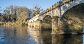 Bords de Vienne vers Pont Gabie - Dec 2016 © Laetitia Chabernaud (1)