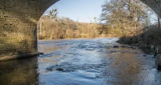 Bords de Vienne vers Pont Gabie - Dec 2016 © Laetitia Chabernaud (7)