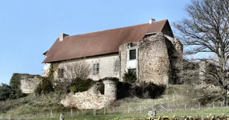 Vieux Château à Vicq sur Breuilh_1