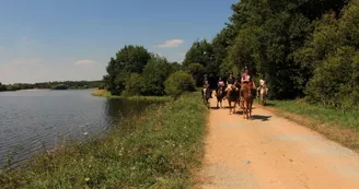 Balade à  cheval aux abords du plan d'eau de Videix_13