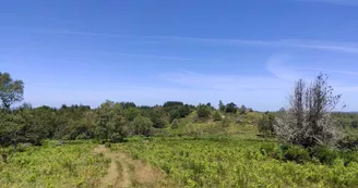 Beaumont-du-Lac - Autour du Bois de Crozat - 