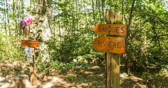 Parcours acrobatique et quick jump à deux pas de Laval