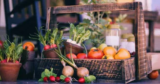 vegetable-basket-349667-1920